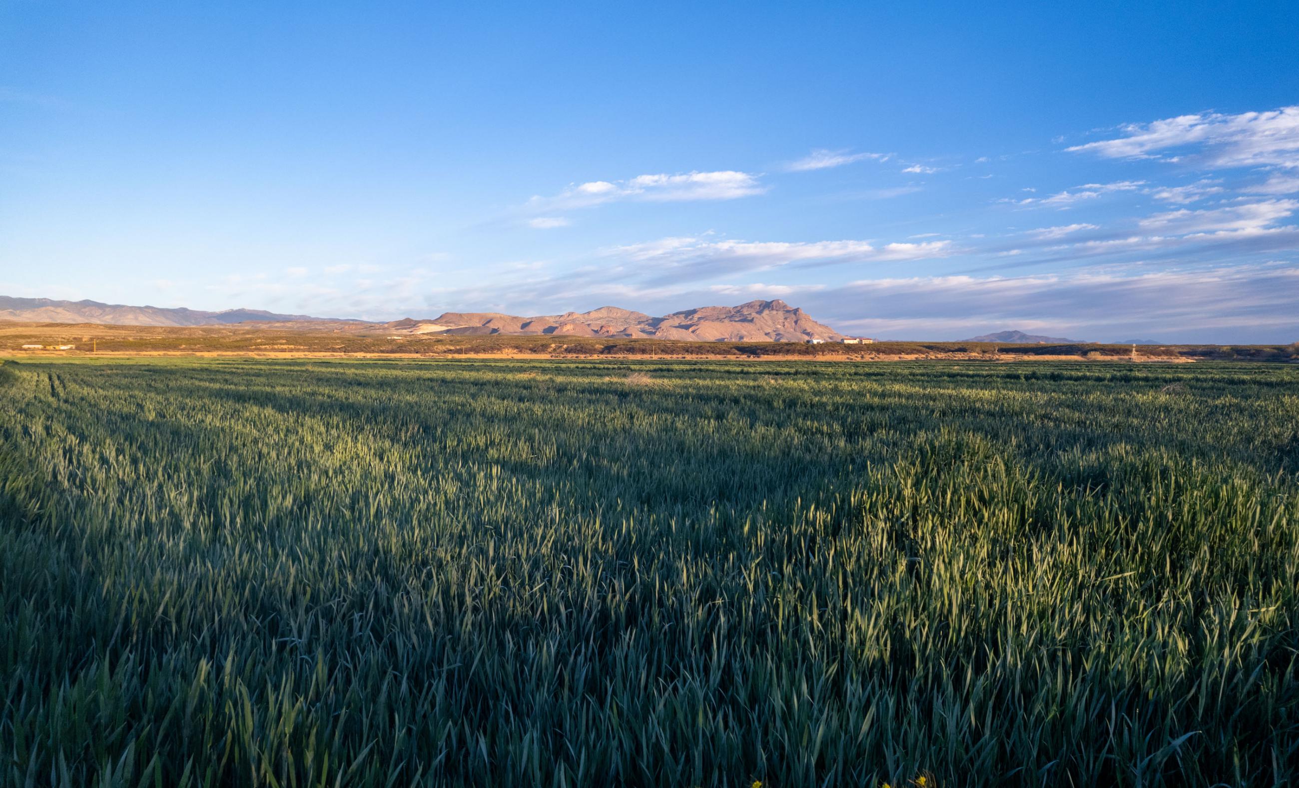 Mercer Farm Chas S. Middleton